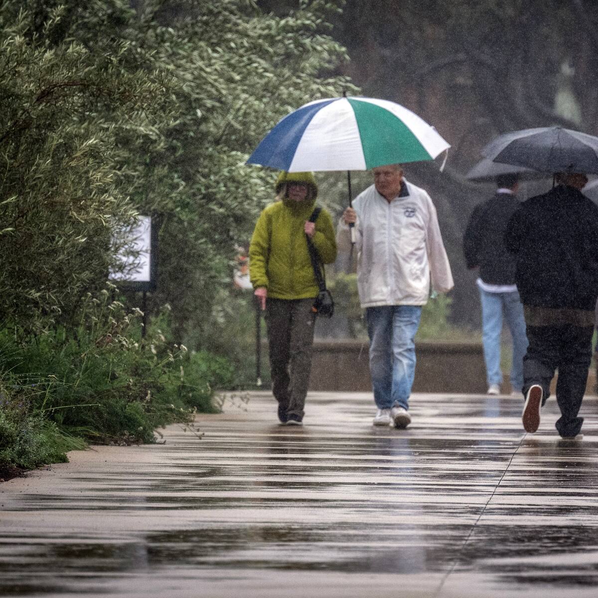 Más de 22 millones de personas están bajo alerta de inundación por lluvias en sur de California