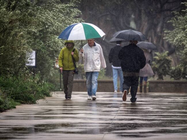 Población de San Marino, California durante las lluvias el 14 de noviembre de 2025. FOTO: Hans Gutknecht/Getty Images