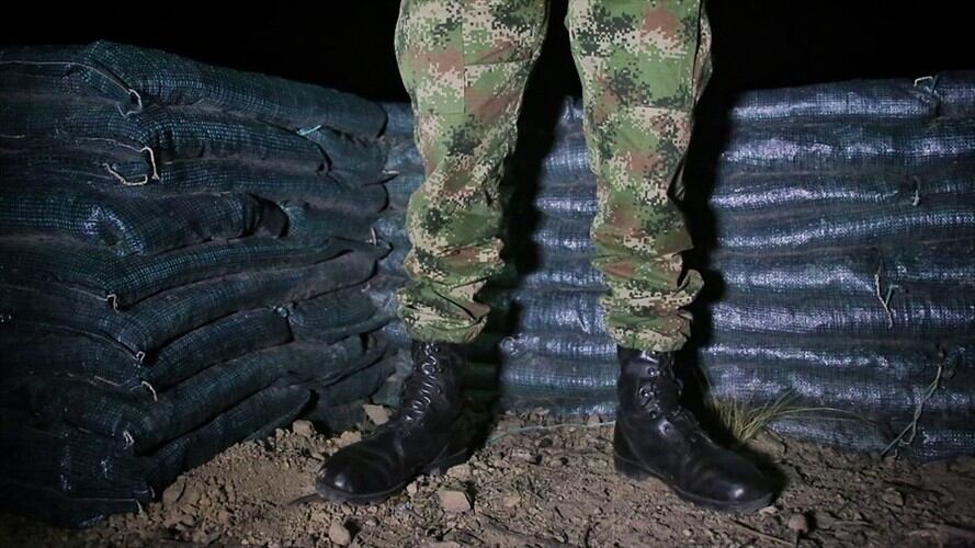 Abren investigación a uniformado que maltrató a un perro en Ipiales, Nariño. Foto: Colprensa