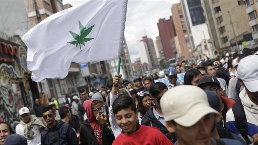 Consumidores y habitantes de la ciudadanía discutieron sobre el consumo de marihuana en el país.. Foto: Colprensa