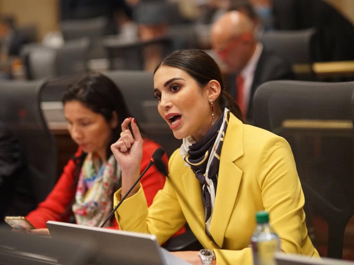 “Le pido al ELN que pare las operaciones y muestre su intención de paz”: Saray Robayo