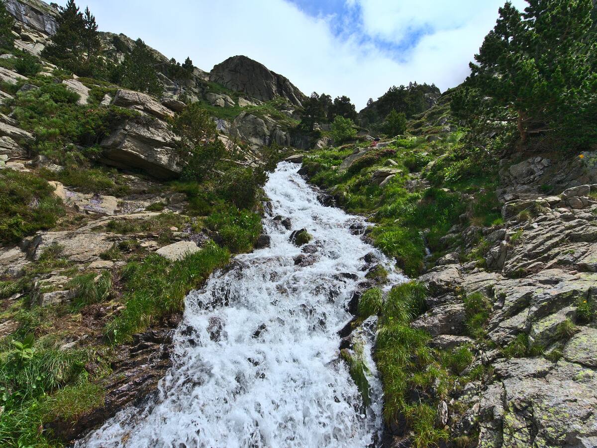 Unas candidatas quisieron pasar la quebrada a pie: encargada del Reinado del Café