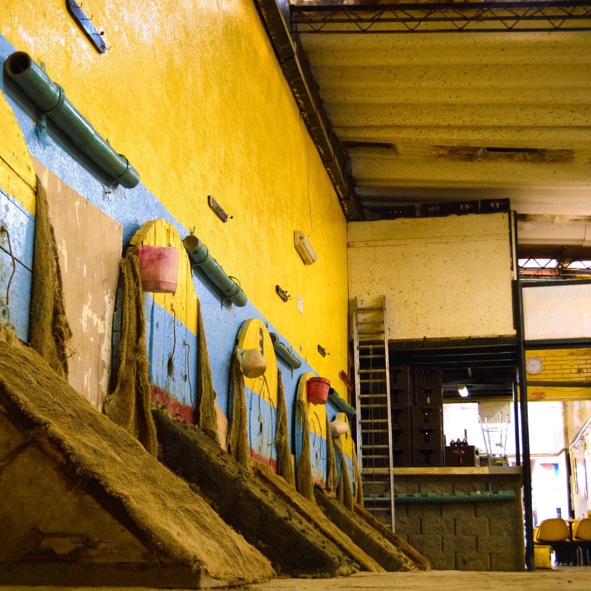 ¿Tejo a nivel mundial? Así es el trabajo para enaltecer el deporte nacional de Colombia