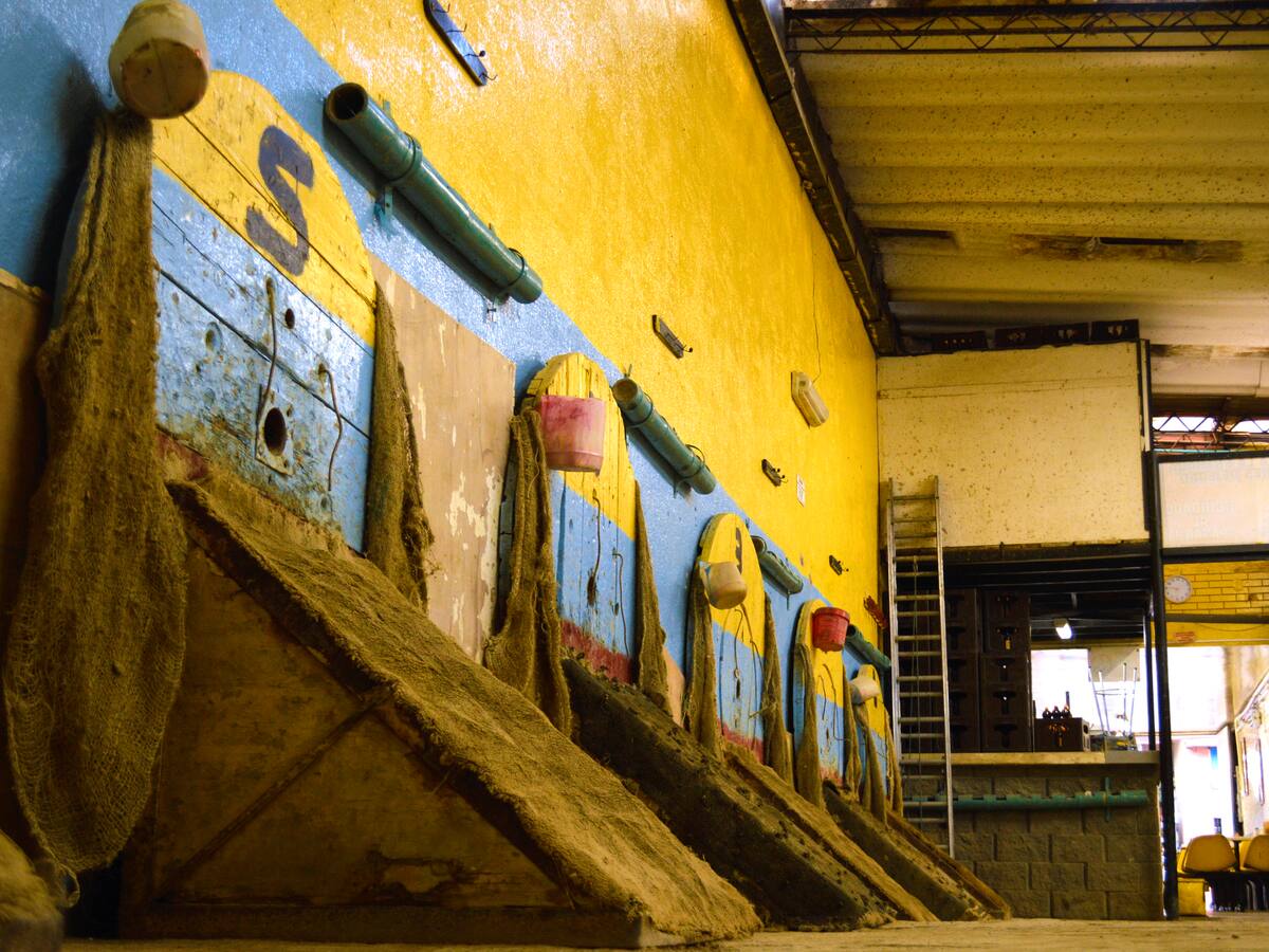 ¿Tejo a nivel mundial? Así es el trabajo para enaltecer el deporte nacional de Colombia