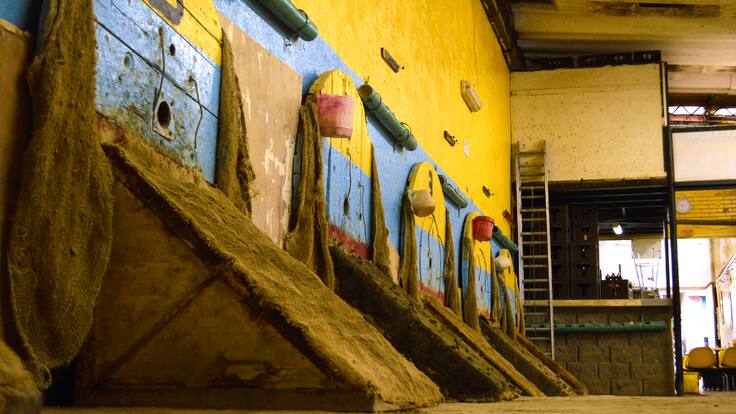 ¿Tejo a nivel mundial? Así es el trabajo para enaltecer el deporte nacional de Colombia