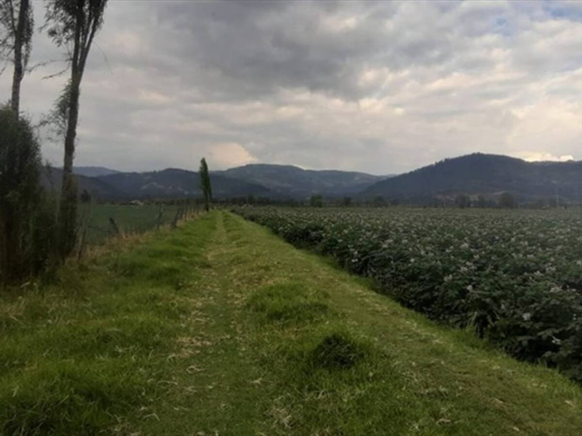 Piden desde Boyacá al Gobierno ser más ambicioso en formalización de tierras
