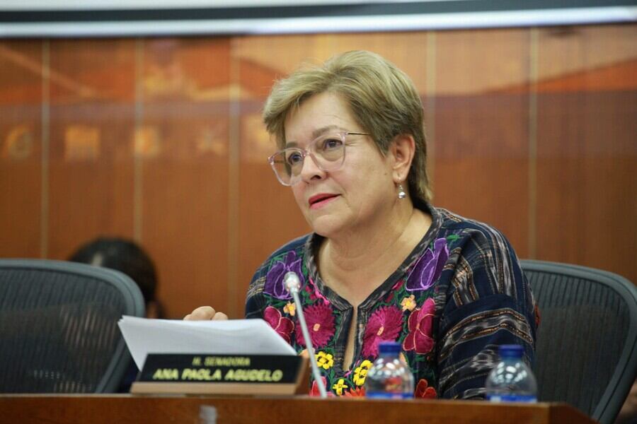 Gloria Inés Ramírez, ministra de Trabajo, Foto: Colprensa.