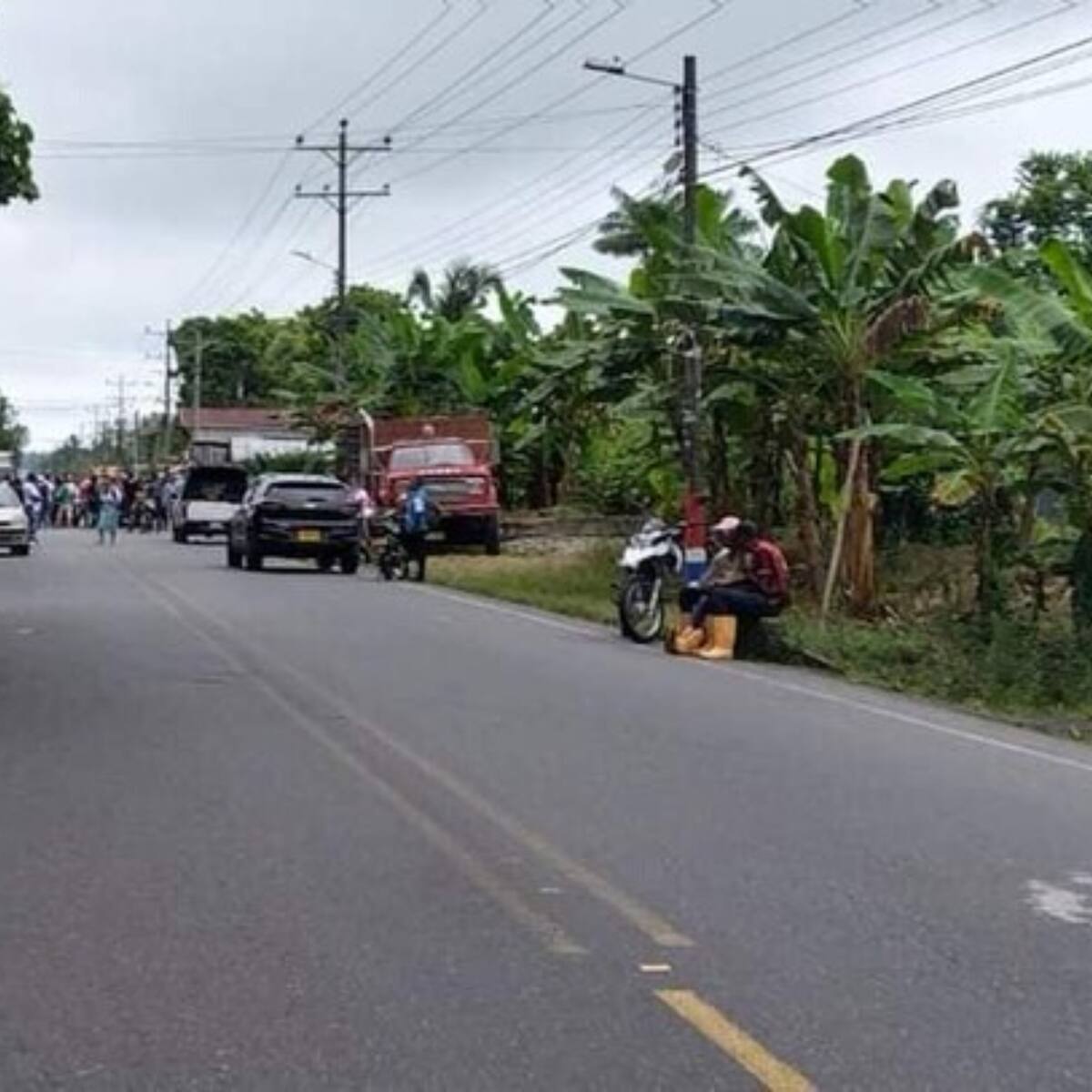 Preocupación en Fedepalma por bloqueo que se registra en la vía Tumaco – Pasto
