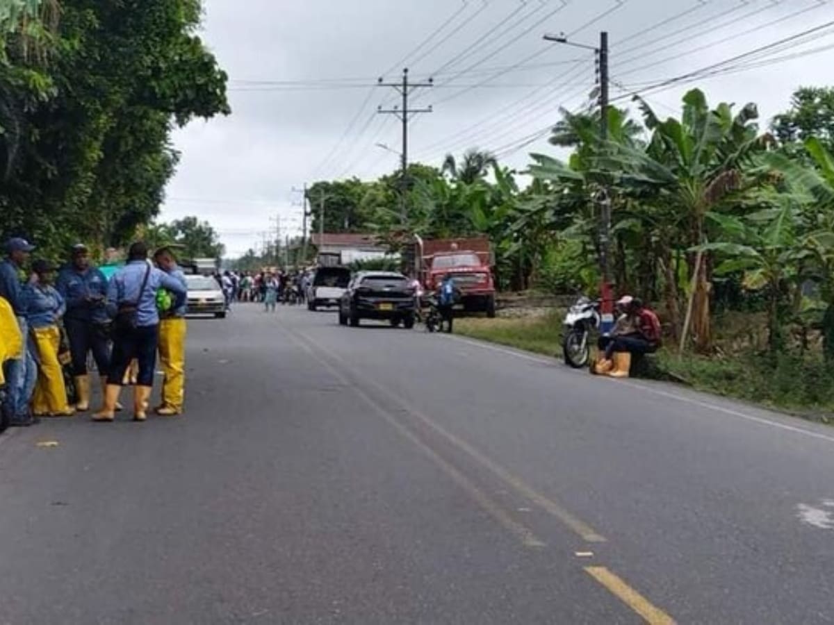 Preocupación en Fedepalma por bloqueo que se registra en la vía Tumaco – Pasto