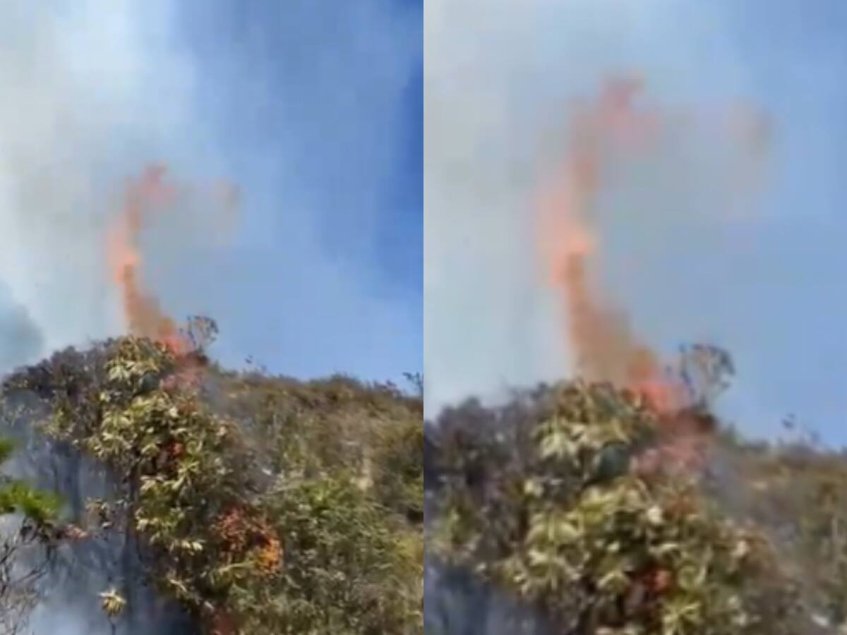 Alcalde Galán alerta sobre incendio en cerros de Bogotá