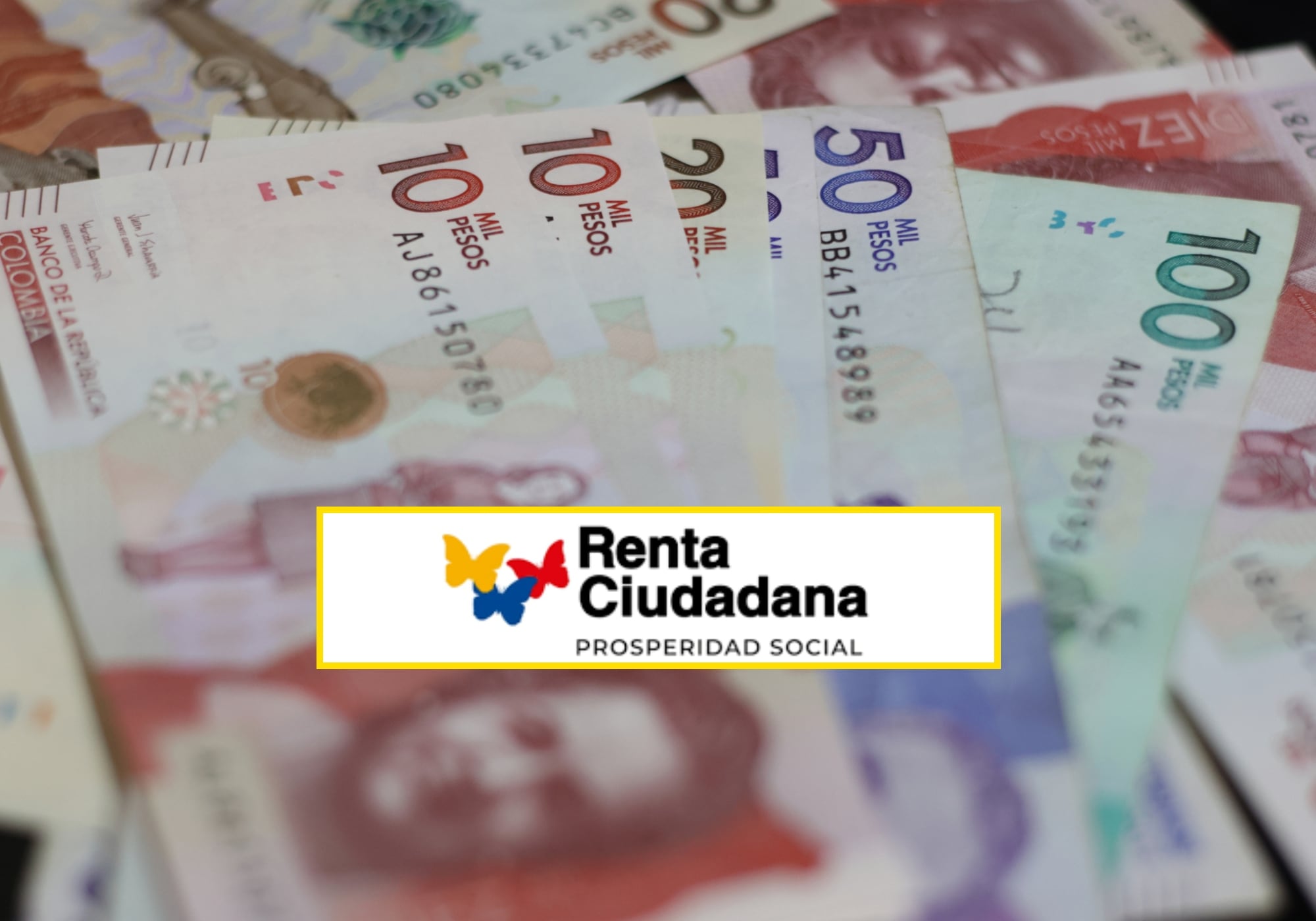 Dinero y Renta Ciudadana. Foto: Getty Images / Prosperidad Social
