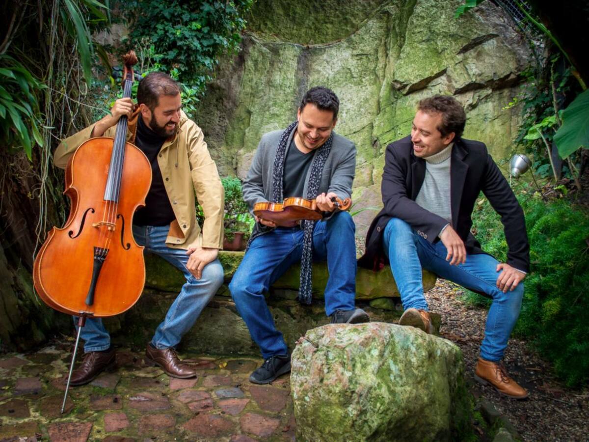 Sonidos y Sentidos: la música de cámara como protagonista