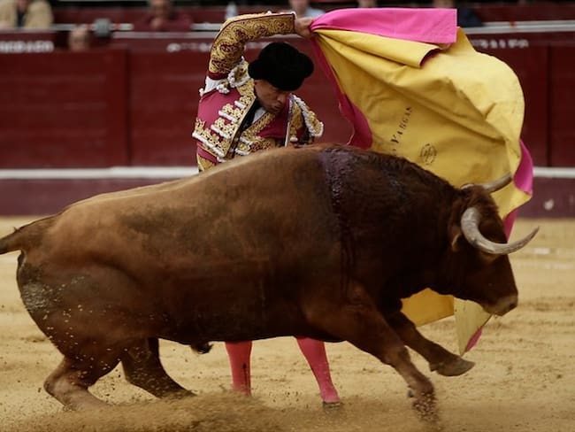 Petro revive la posibilidad de prohibir las corridas de toros en Bogotá. Foto: Colprensa