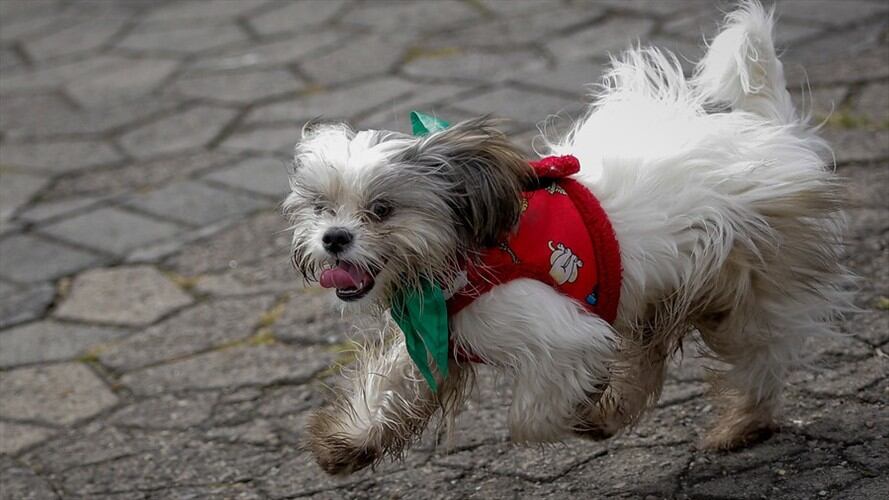 Imagen de referencia. Foto: Colprensa - Mauricio Alvarado