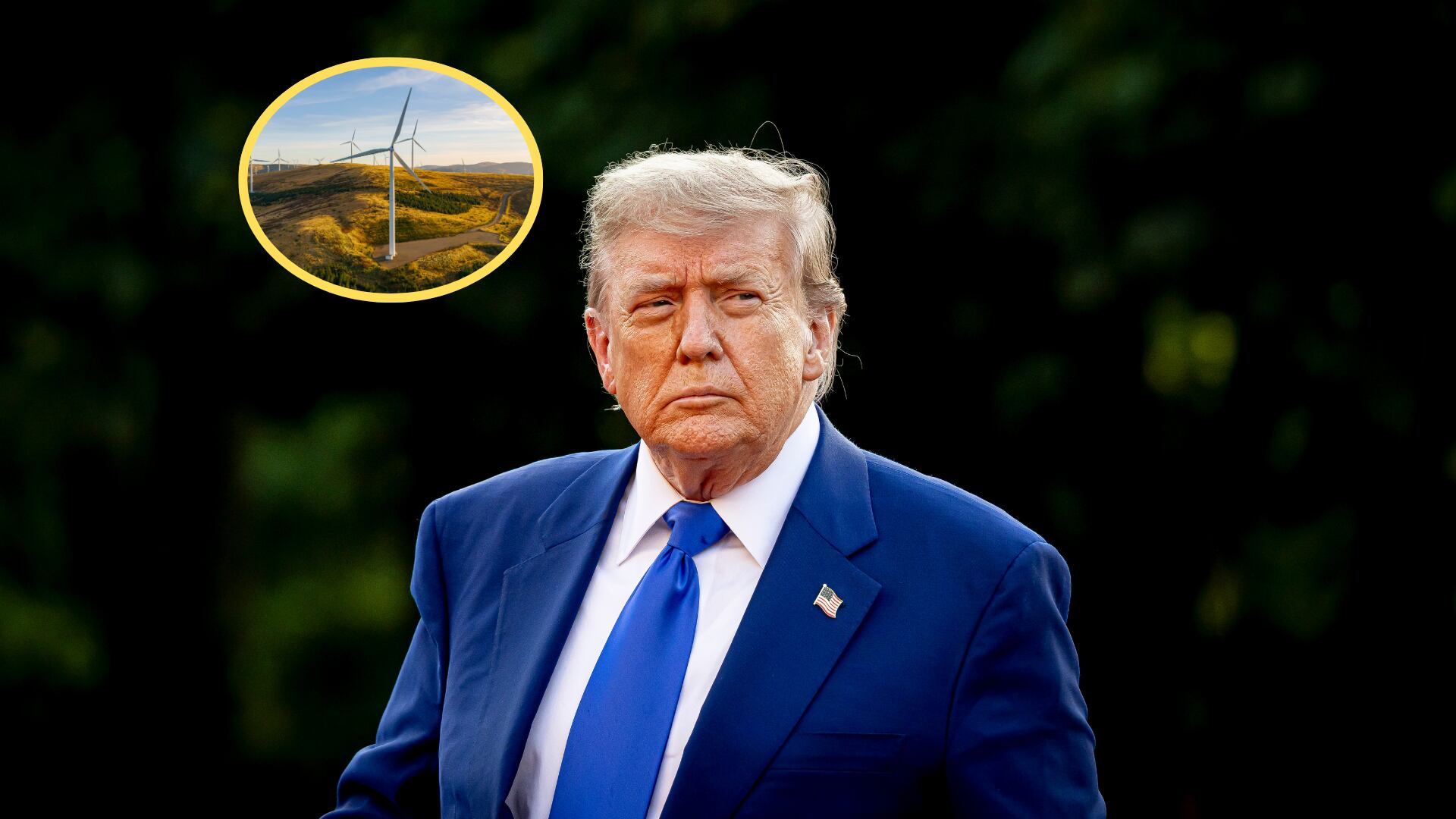 Donald Trump. Foto: Patrick van Katwijk/Getty ImagesEnergía Eólica. Foto: Getty Images.