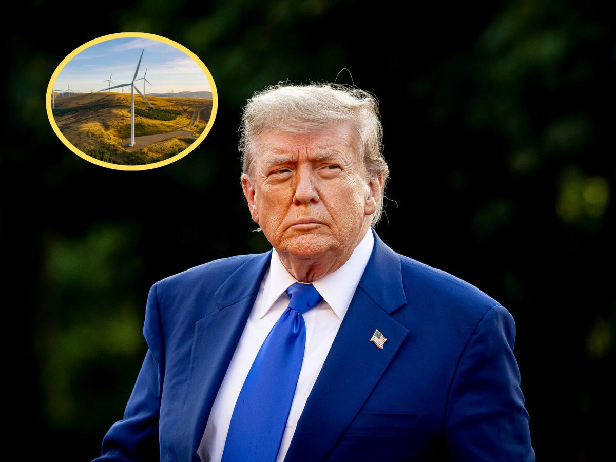 Donald Trump canceló cinco grandes proyectos eólicos en Estados Unidos