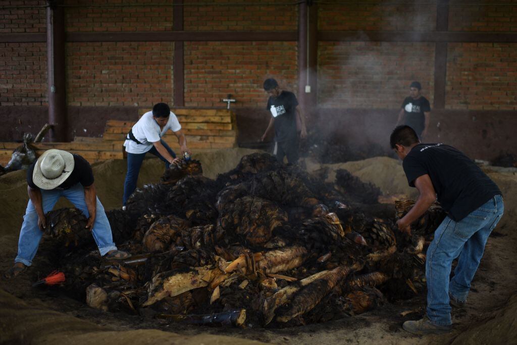Santa Catarina Minas de mezcal, Oaxaca, Mexíco. I Foto: PEDRO PARDO/AFP via Getty Images.