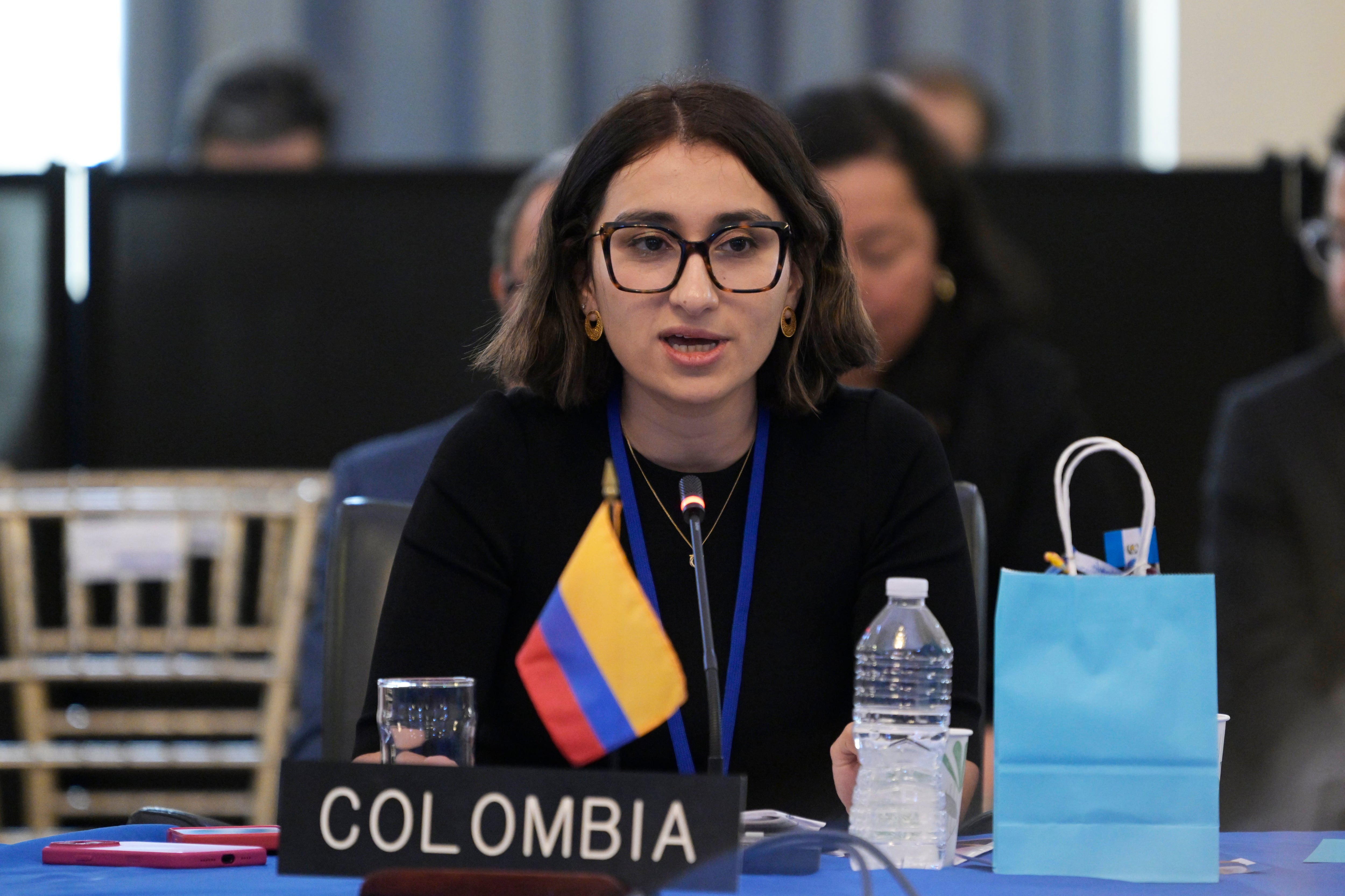 La canciller de Colombia Laura Sarabia. Foto: EFE/ Lenin Nolly.