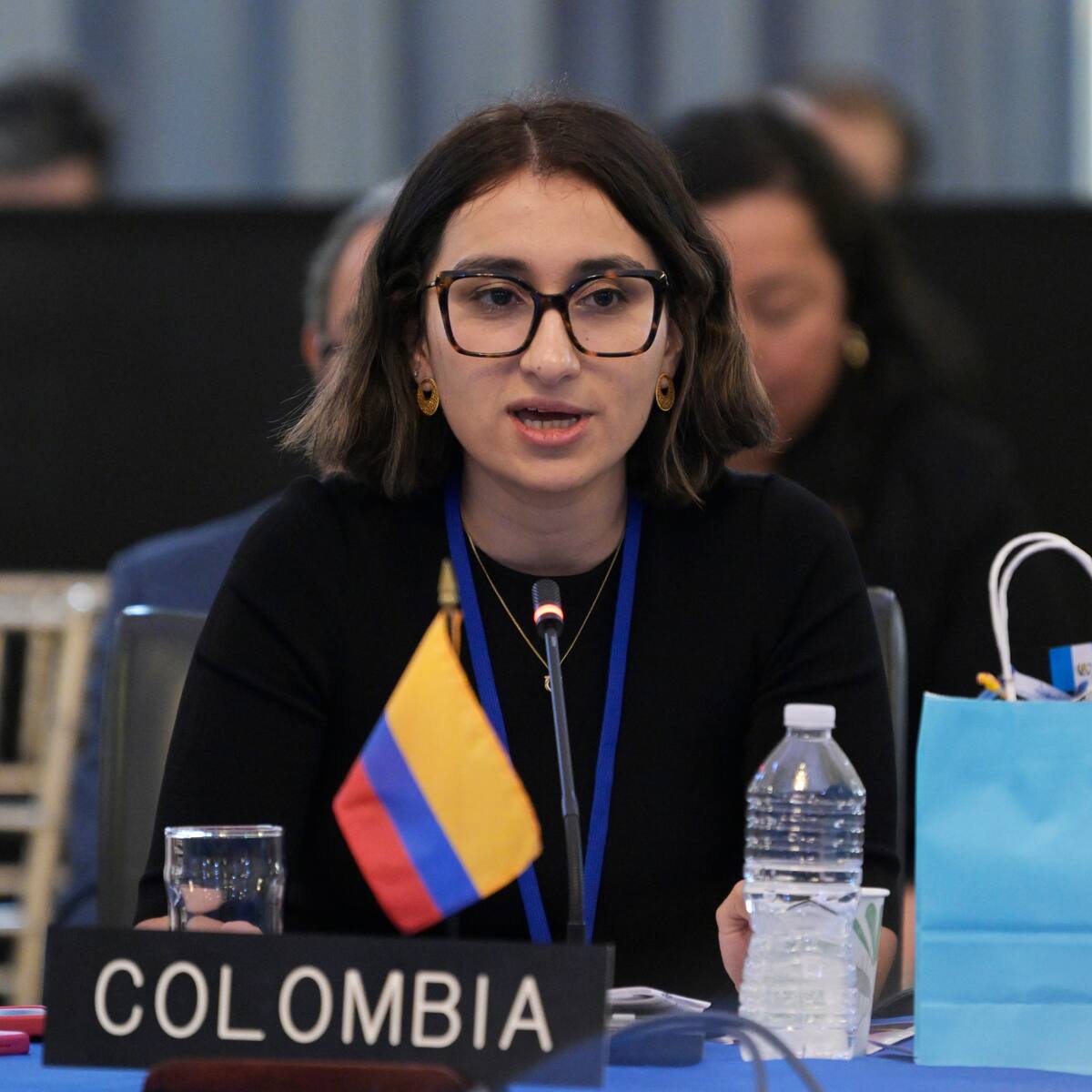 Se canceló reunión de Comisión Asesora de Relaciones Exteriores convocada por la canciller Sarabia