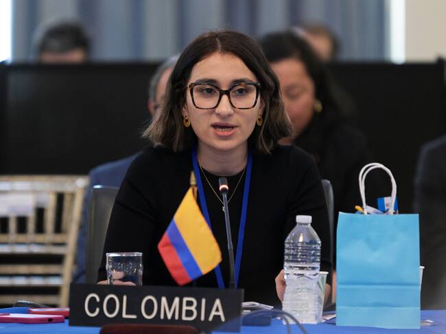 La canciller de Colombia Laura Sarabia. Foto: EFE/ Lenin Nolly.