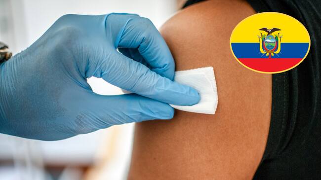 Imágenes de referencia. Getty Images.