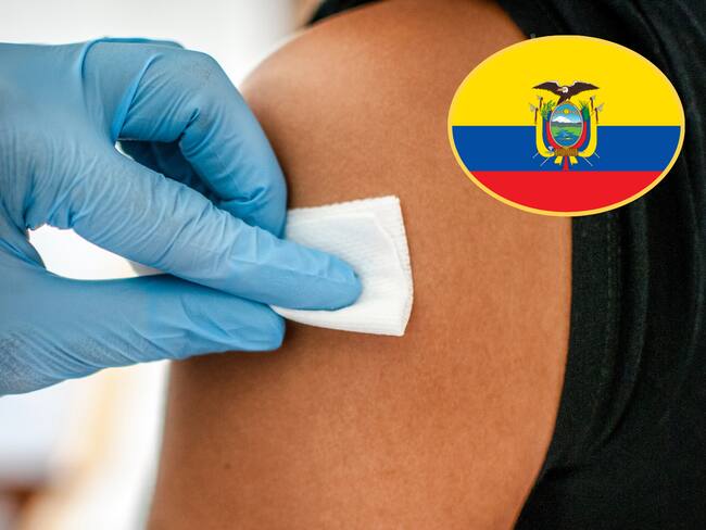 Imágenes de referencia. Getty Images.