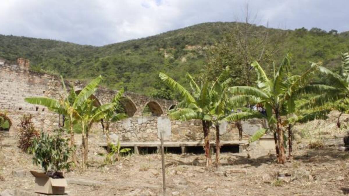 Víctimas del paramilitarismo a la expectativa de la llegada de Mancuso a Colombia