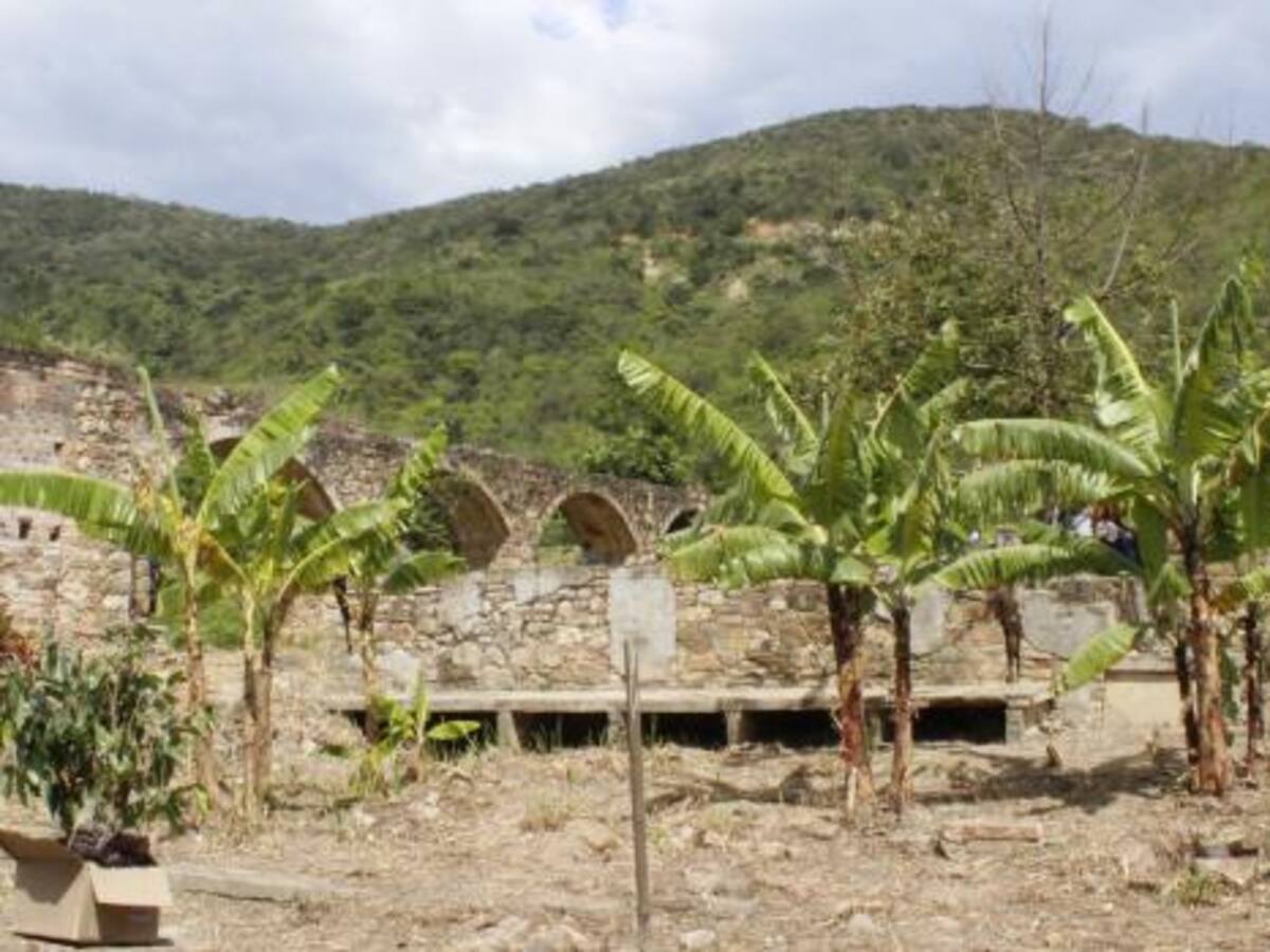 Víctimas del paramilitarismo a la expectativa de la llegada de Mancuso a Colombia