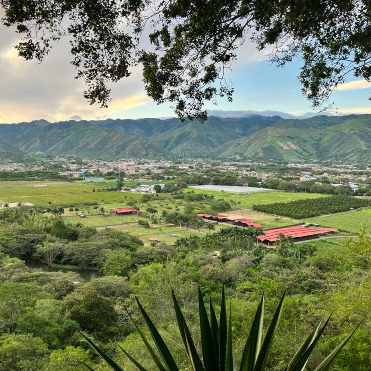 SAE denunciará a exencargado de lujoso ‘narcobien’ Grajales por irregularidades