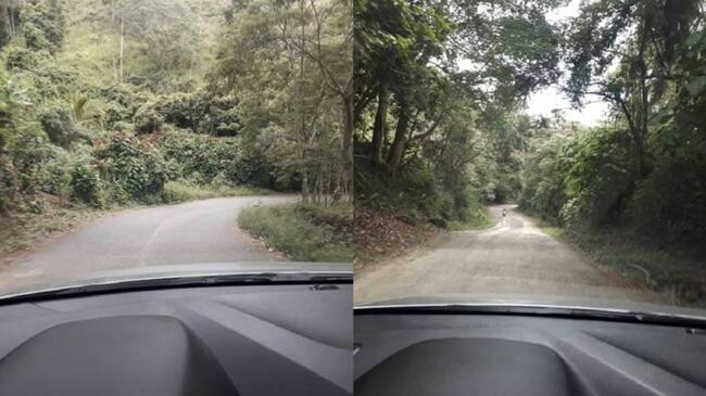 Vía La Merced - La Felisa Caldas. Foto: Comunidad.