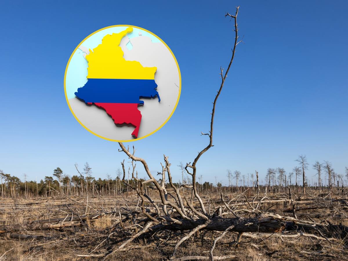 Colombia: cuarto país del mundo con mayor riesgo de desastres naturales