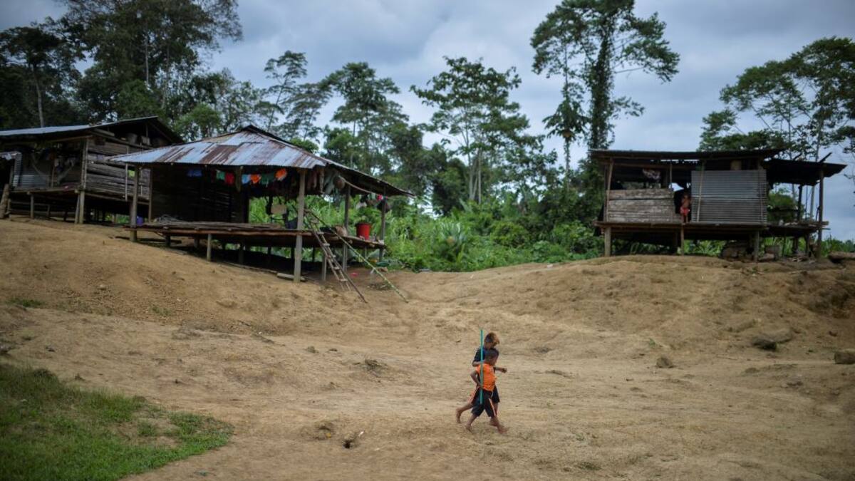 Personas inescrupulosas los utilizan: ONG sobre niños indígenas en el Guaviare