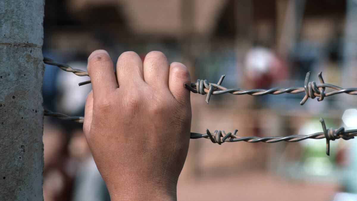 ONU alerta: crisis de violencia en Arauca deja más de 1.500 desplazados