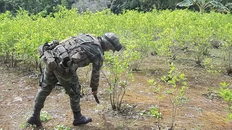Congresistas de EE.UU. manifiestan apoyo a Colombia en lucha contra las drogas. Foto: Colprensa