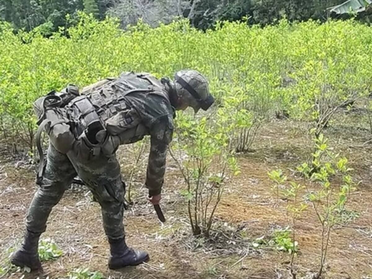 Congresistas de EE.UU. manifiestan apoyo a Colombia en lucha contra las drogas