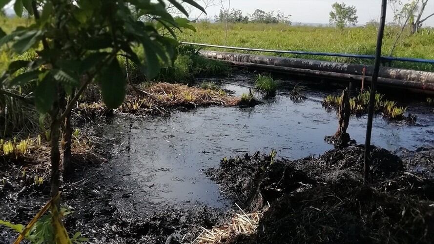 Mauro Salazar, coordinador de la Unidad de Gestión Ambiental de Puerto Boyacá, indicó en Sigue La W que hasta ahora le está poniendo cuidado a este problema ambiental. . Foto: Cortesía