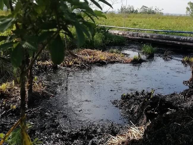 Mauro Salazar, coordinador de la Unidad de Gestión Ambiental de Puerto Boyacá, indicó en Sigue La W que hasta ahora le está poniendo cuidado a este problema ambiental. . Foto: Cortesía