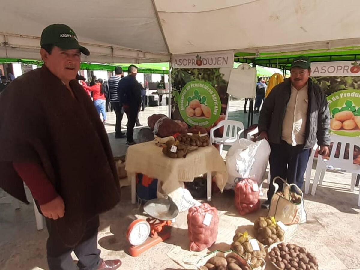 Productores de papa de varios municipios de Boyacá celebraron su día en Tunja