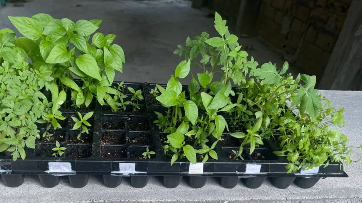 Entrega de kits de abastecimiento alimentario a familias afrodescendientes y rurales de Santa Marta
