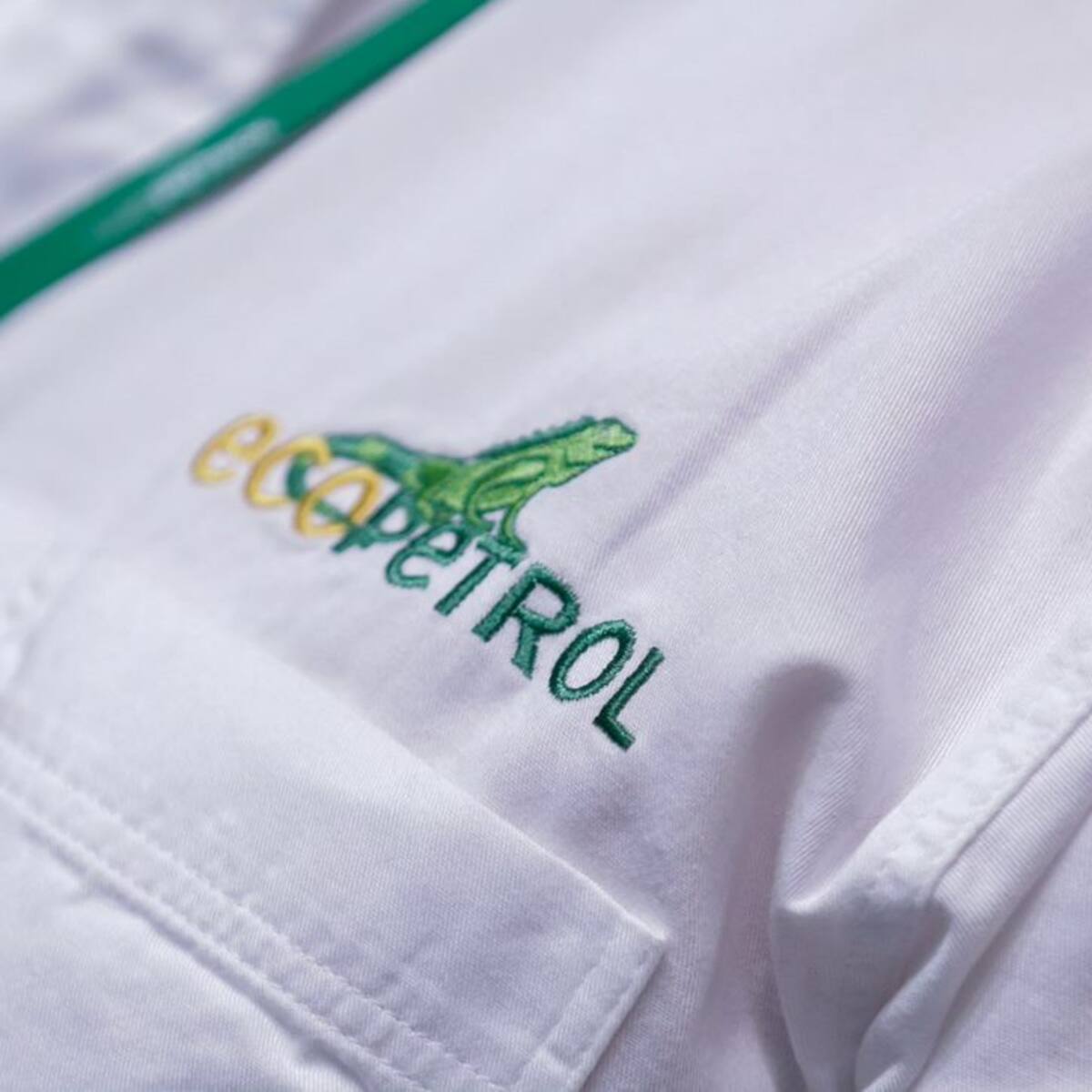 Cae la acción de Ecopetrol tras elección de nueva junta directiva