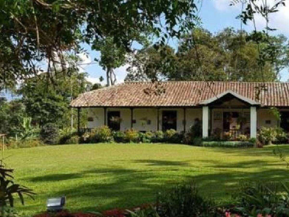Hacienda El Roble que produce café Mesa de Los Santos, entre las mejores del mundo
