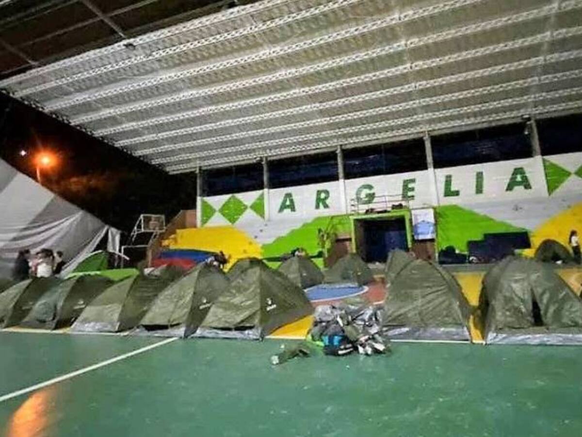 Combates en Argelia Cauca dejan a 80 nuevas personas desplazadas