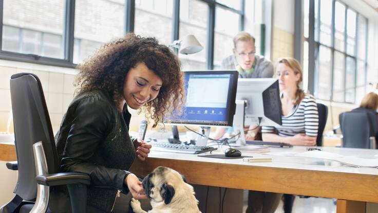 Llevar mascotas al trabajo: ¿qué beneficios trae para la salud?