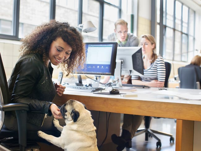 Llevar mascotas al trabajo: ¿qué beneficios trae para la salud?
