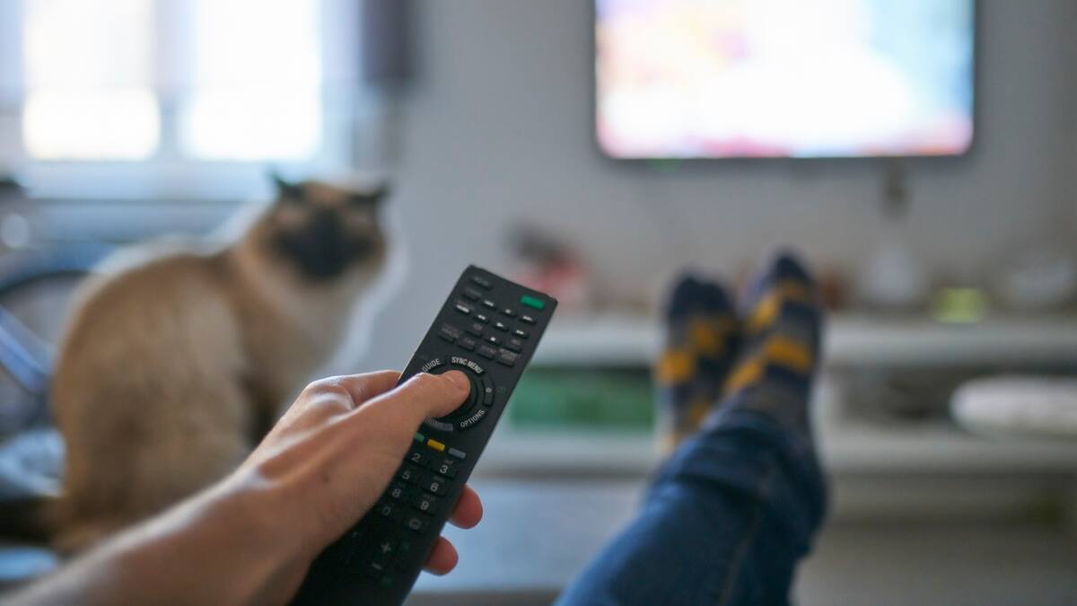 Rating televisivo en Colombia