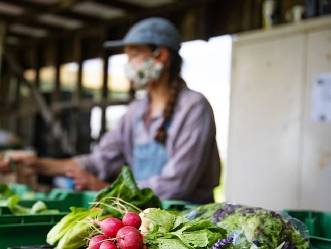 Plataforma colombiana facilita que pequeños productores puedan vender sin intermediarios