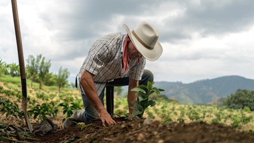 Por ley, la tierra es para quien la trabaje. Por ejemplo, un campesino que la ocupe y la trabaje por cinco años podría ir a la ANT y solicitar un título por ocupación. Foto: Getty Images / ANDRESR