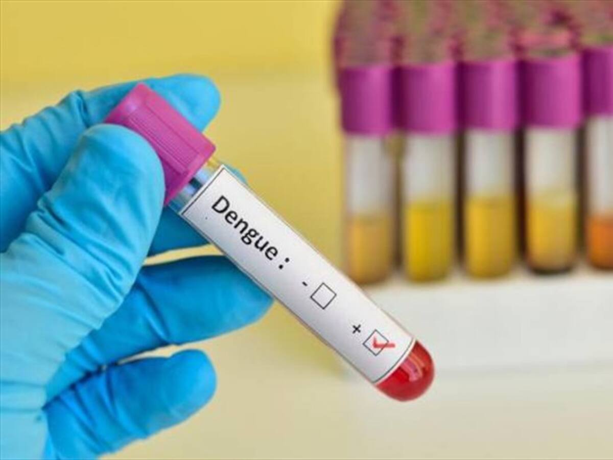 Desarrollan nueva patente para controlar al mosquito que transmite el Dengue