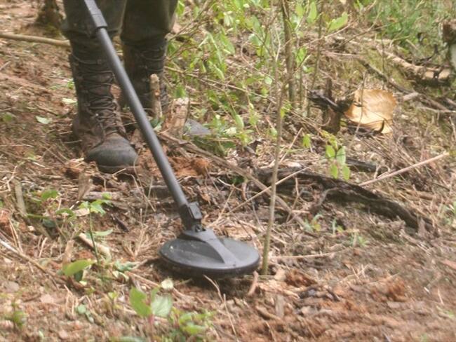 Gobernador de Nariño pide al Gobierno ayuda para sustituir cultivos ilícitos en Tumaco