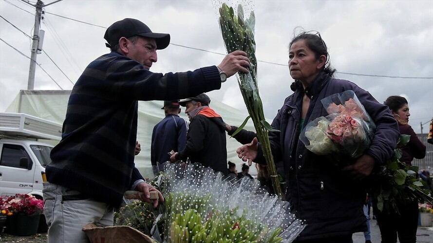 Imagen de referencia. Foto: Colprensa